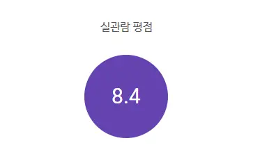 영화-히든페이스-관람평