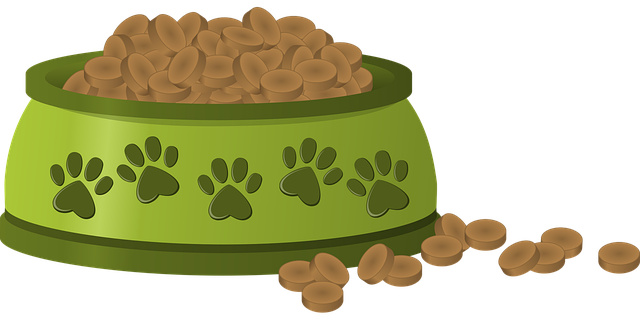 강아지-사료