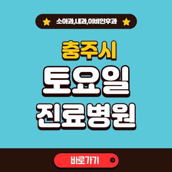 충주시 토요일 진료 병원 찾기 ❘ 주말 문여는 소아과, 내과, 이비인후과 리스트