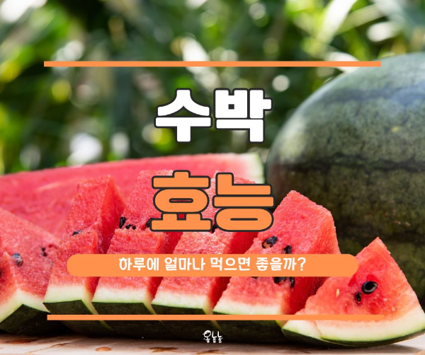 수박 효능