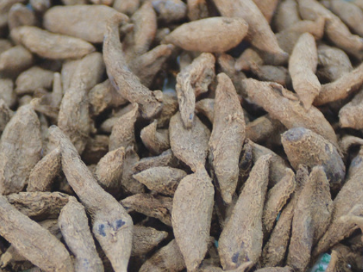 지방간줄이는방법