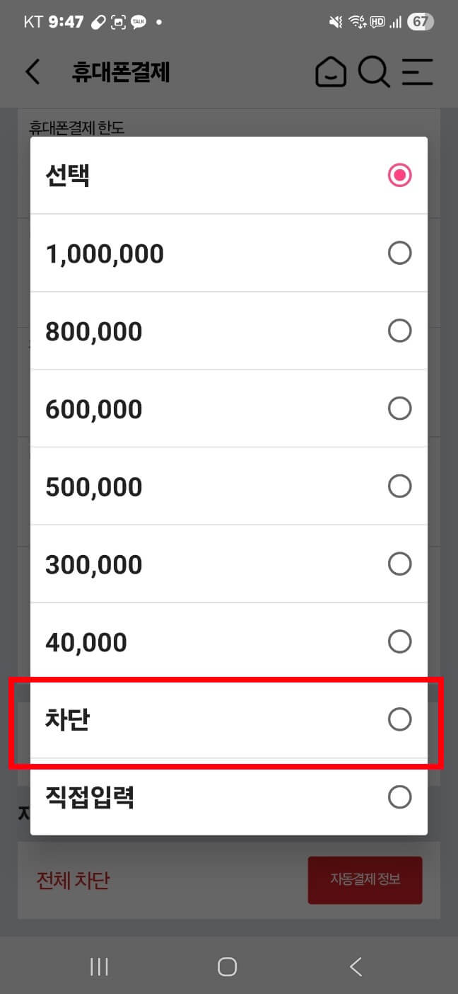 KT 소액결제 차단 방법 매뉴얼