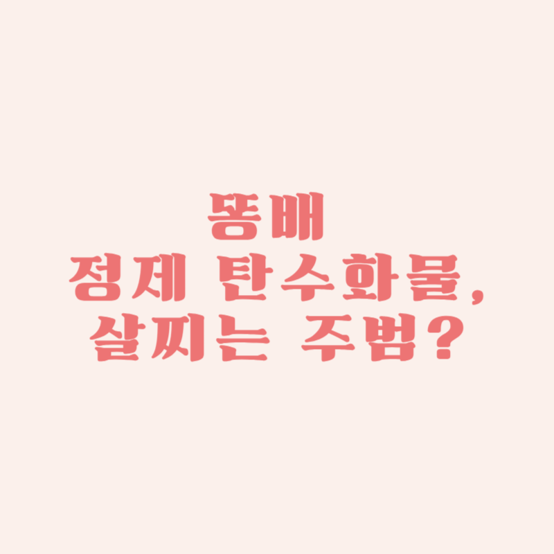 똥배 정제 탄수화물, 살찌는 주범?