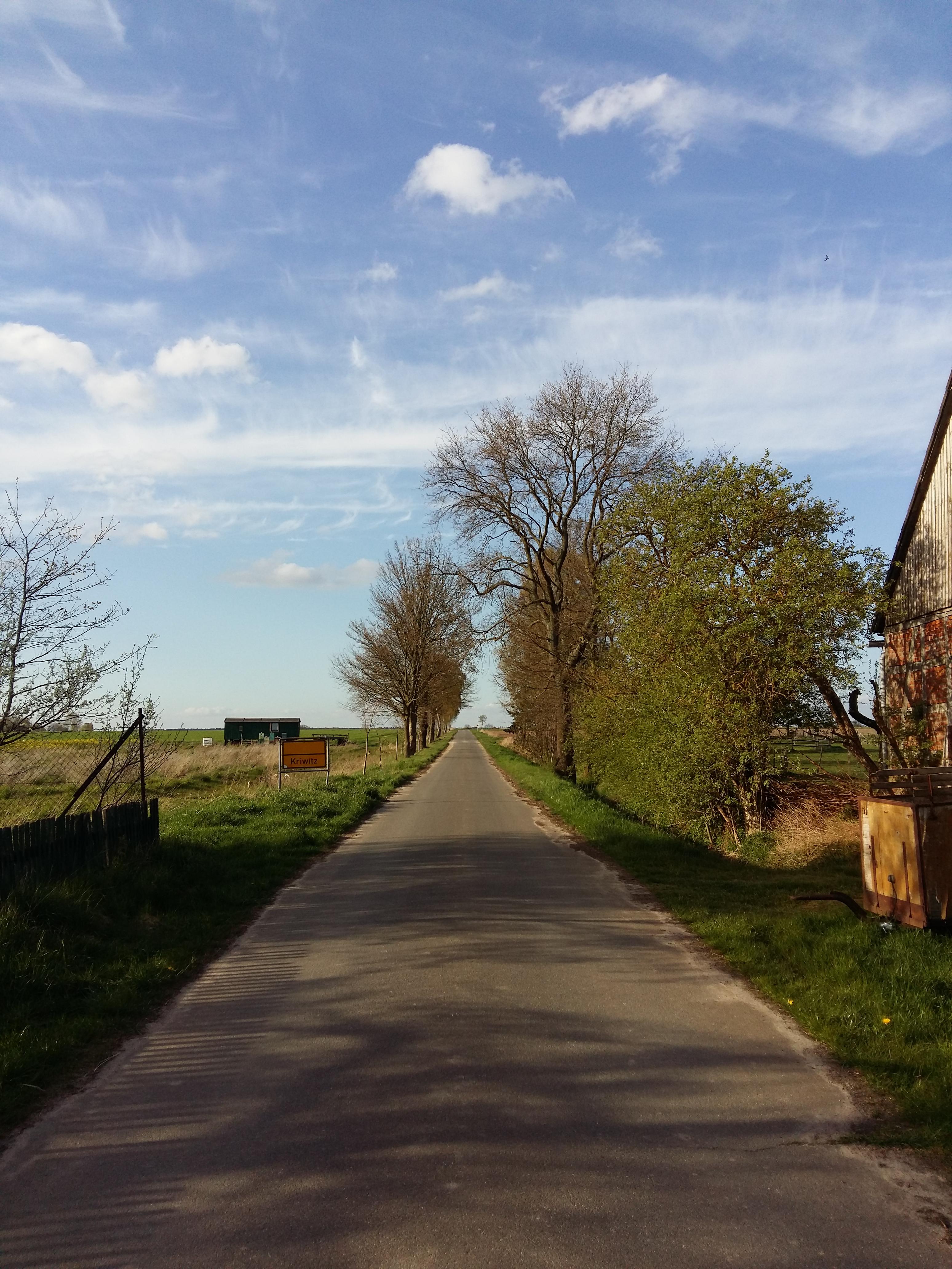 독일 잘츠베델 반목조 건물 사잇길