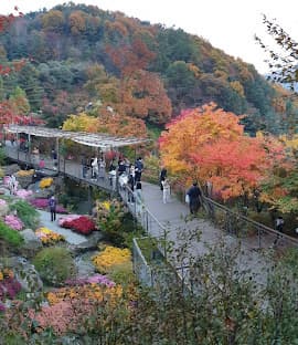 화담숲 연인&amp;#44;가족 대표적인 추천코스 트랜드장소 사진