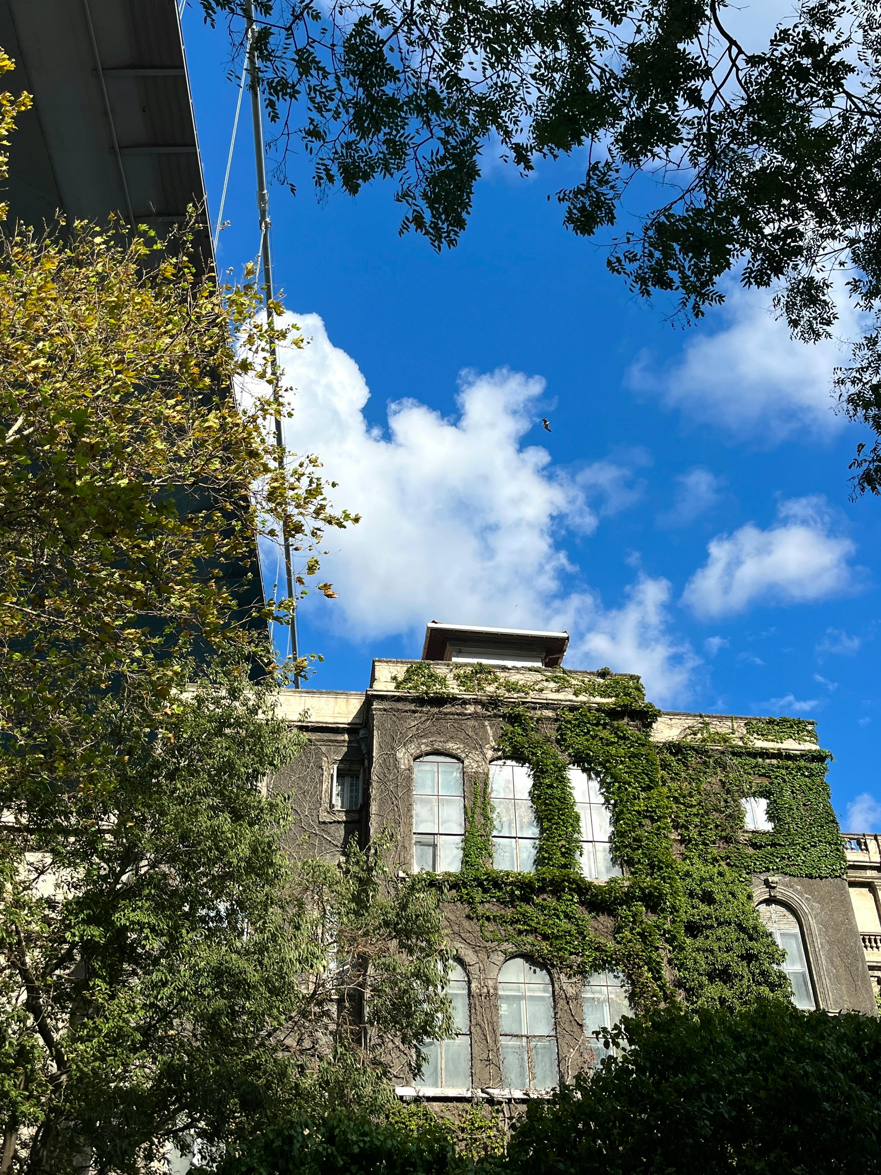 청년내일저축계좌