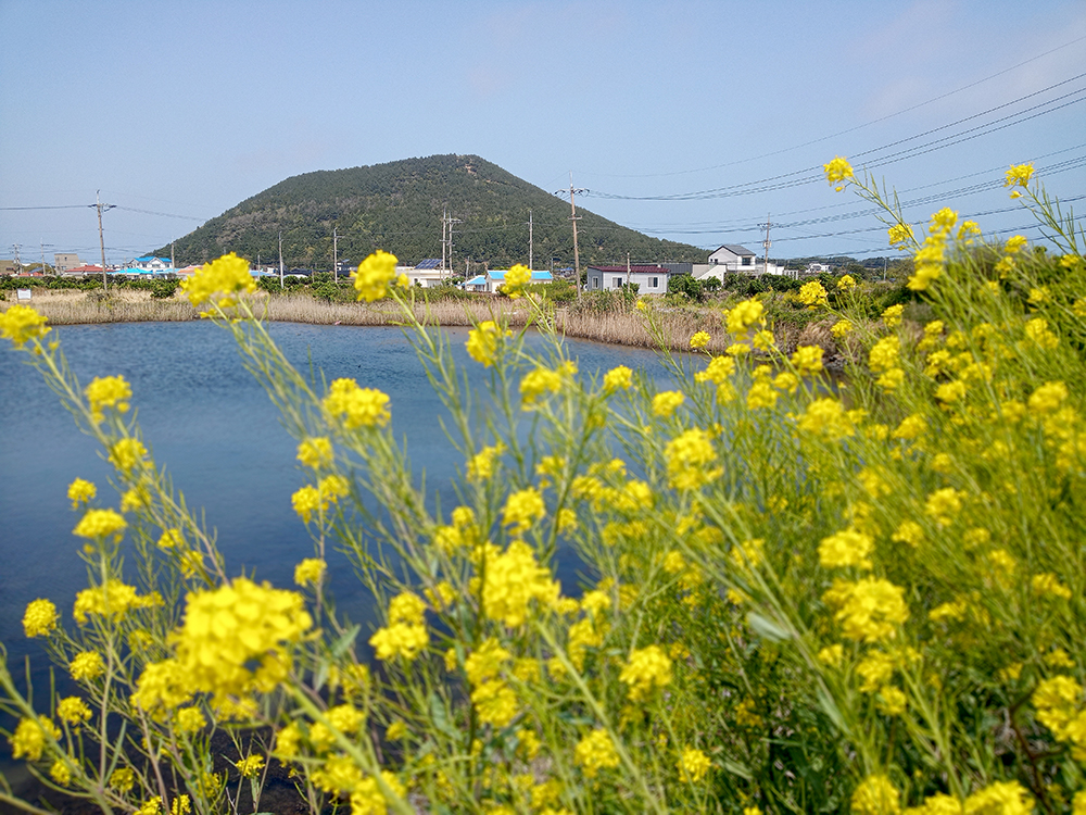 올레길 1코스: 광치기해변에서 시흥리까지