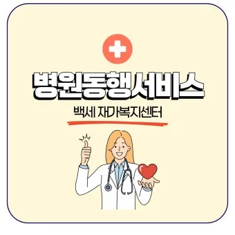 병원 동행서비스 자격증 신청방법 부터 활용까지 2025년 최신으로 안내서_20