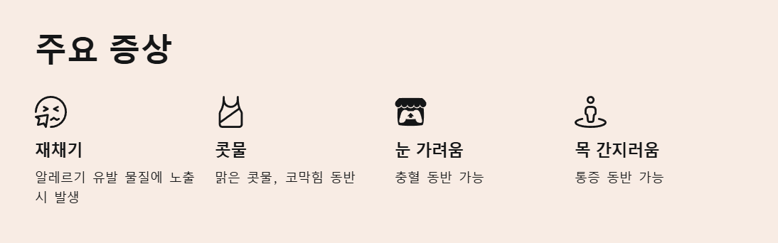 알레르기 비염 주요증상