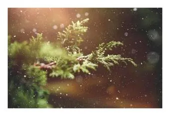 겨울에 듣기 좋은 노래