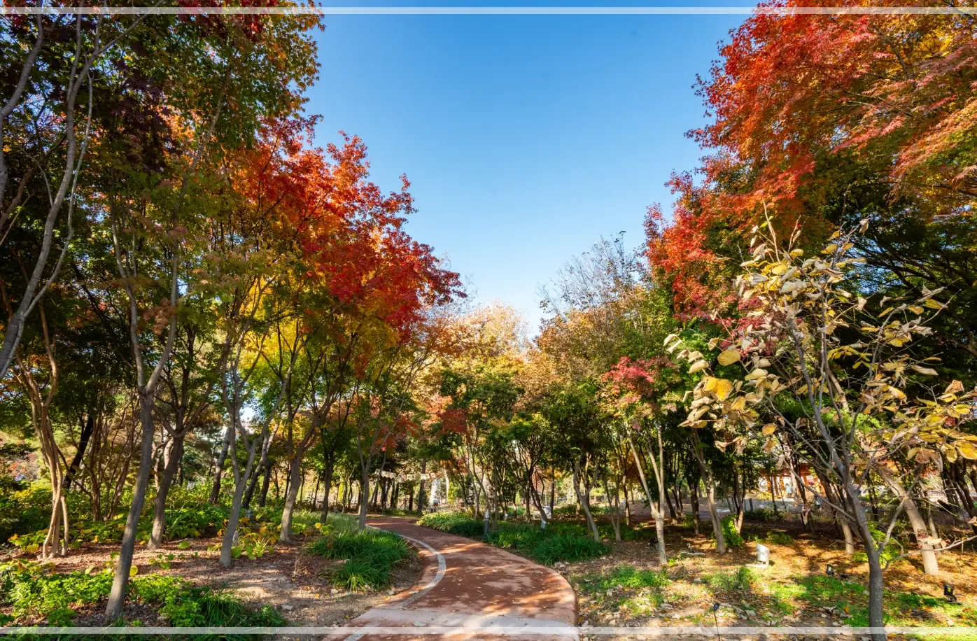 일월수목원-입장료-운영시간-주차-요금-관람