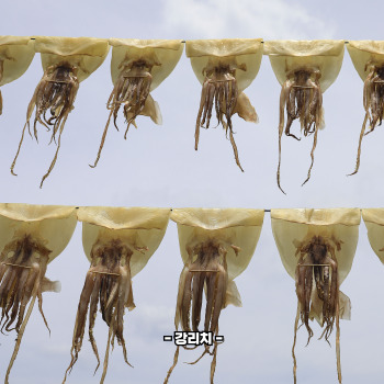 마른 오징어 부드럽게 먹는법