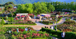 꼭 가야하는 축제 BEST 5곳