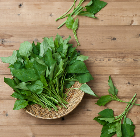 3월에 먹으면 좋은 제철 음식의 종류 Top 10 (봄철 음식) 두릅 냉이 쭈꾸미 취나물 씀바귀 바지락 달래 소라 부추 쑥