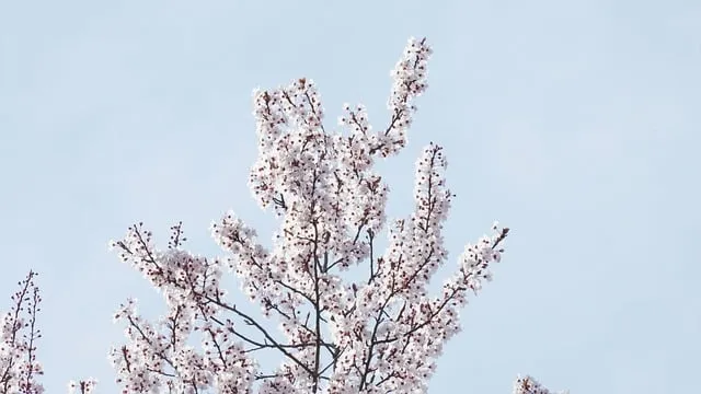 상견례 인사말 부모님 의상 호칭 예절_8