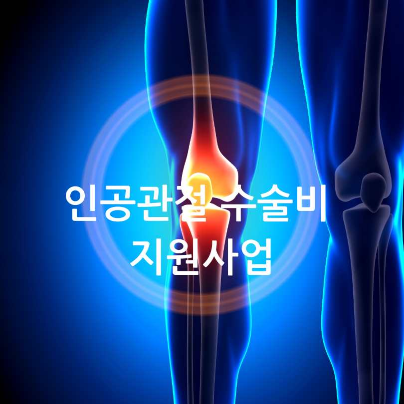 인공관절 수술비지원사업