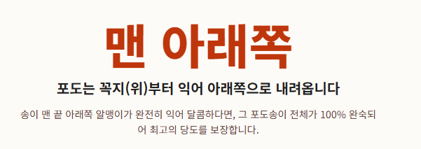 포도 종류