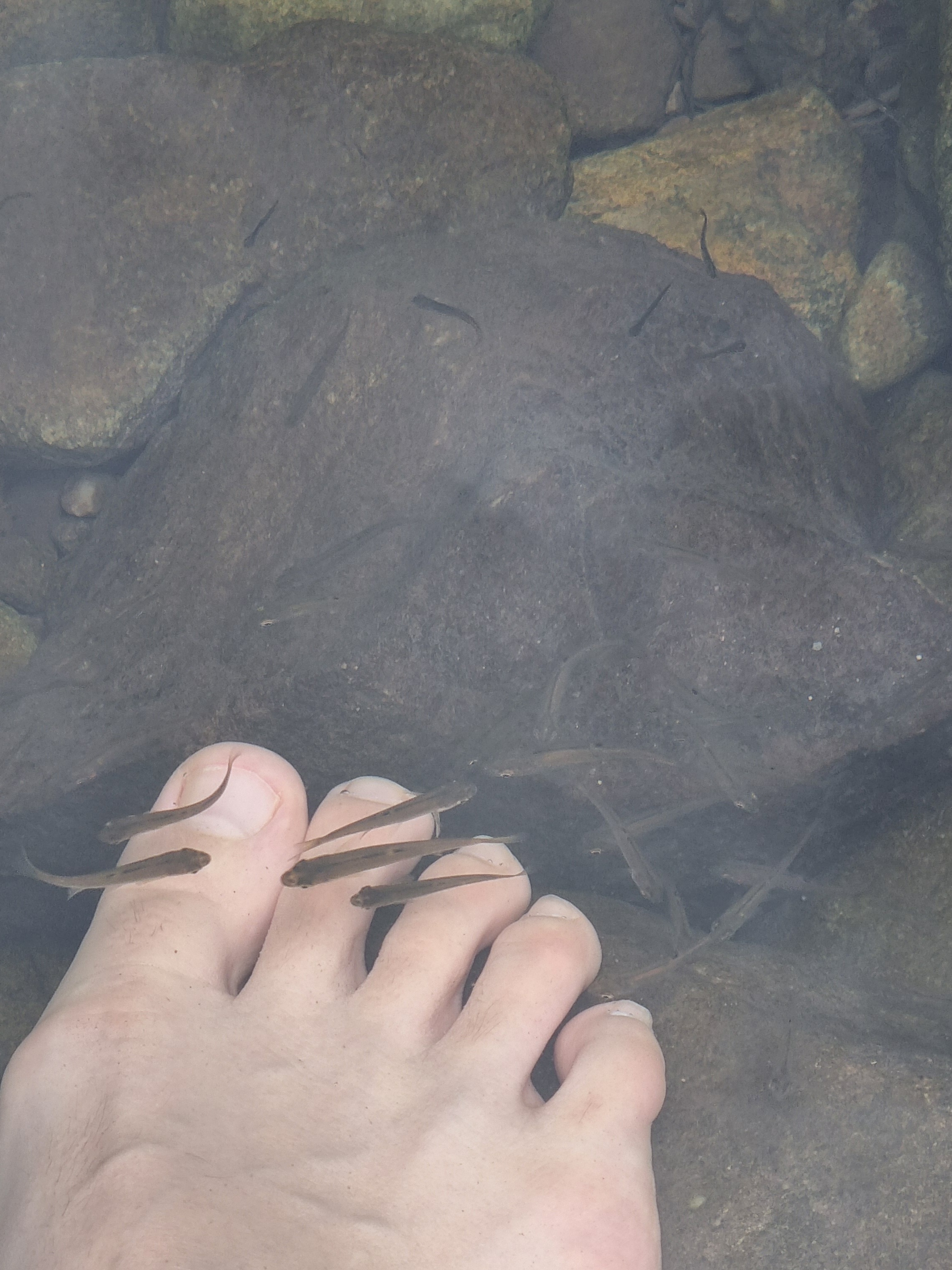 두타산자연휴양림 계곡