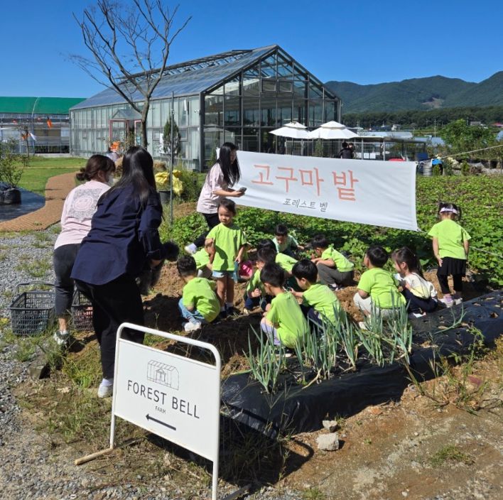 용인 포레스트 벨