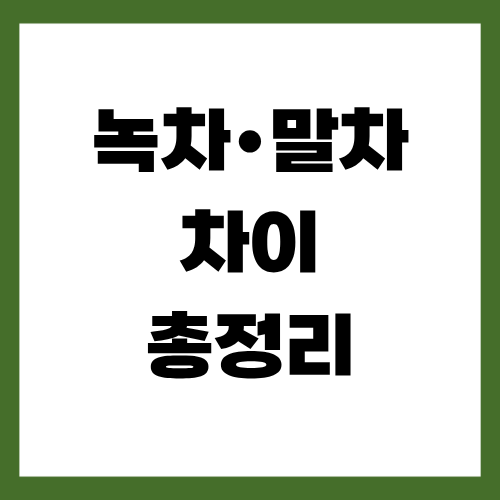 녹차 말차 차이 총정리