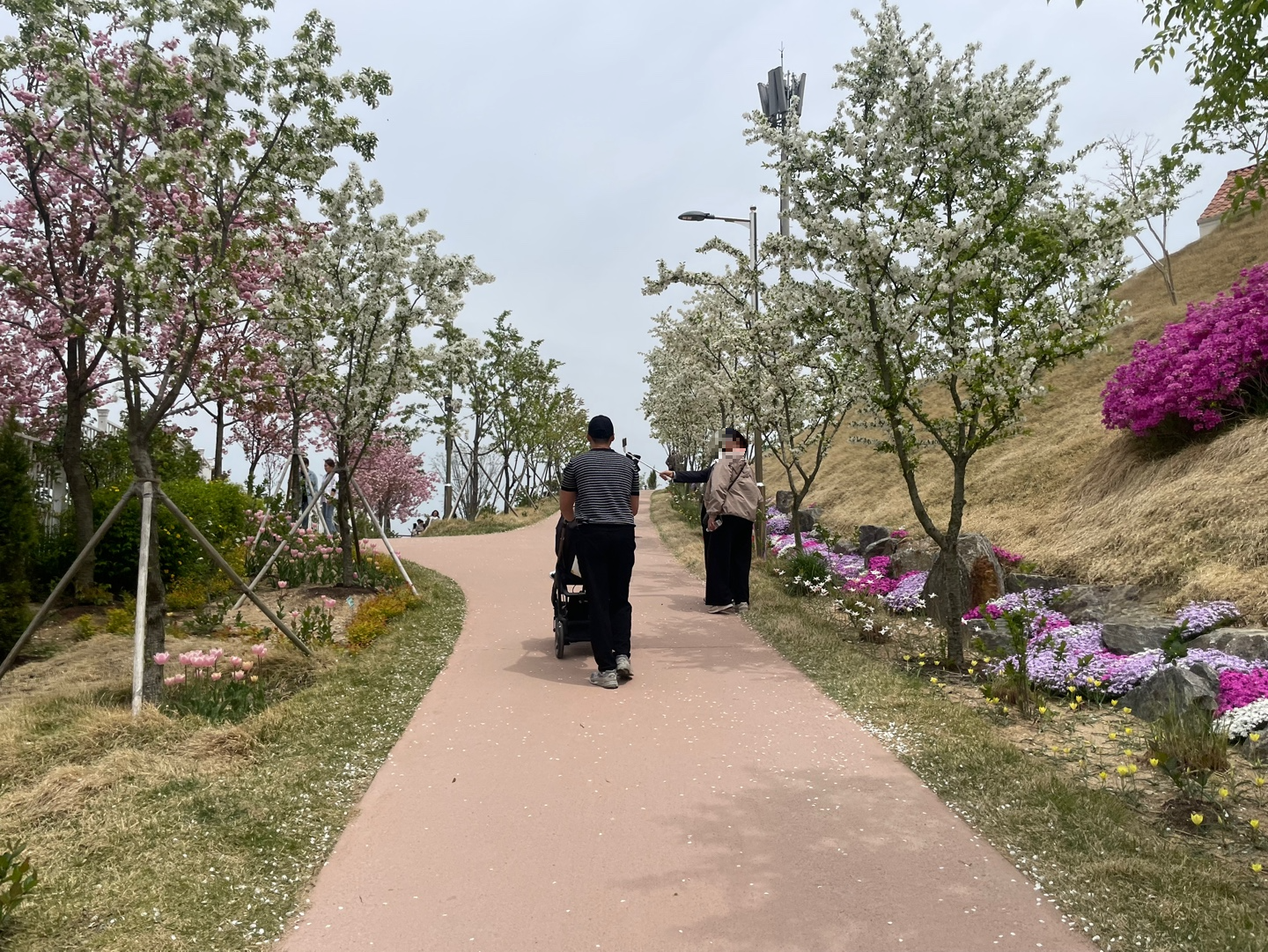 용인 자작나무숲 베툴라 대형 베이커피 카페