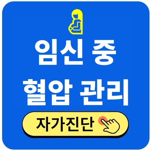 임신중 혈압관리 자가진단하기