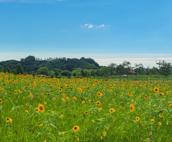 익산 가볼만한곳 베스트10