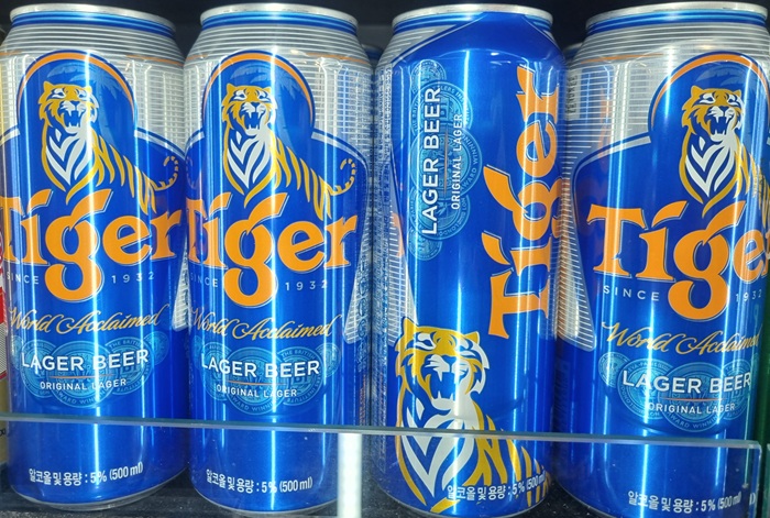 타이거 관련 사진