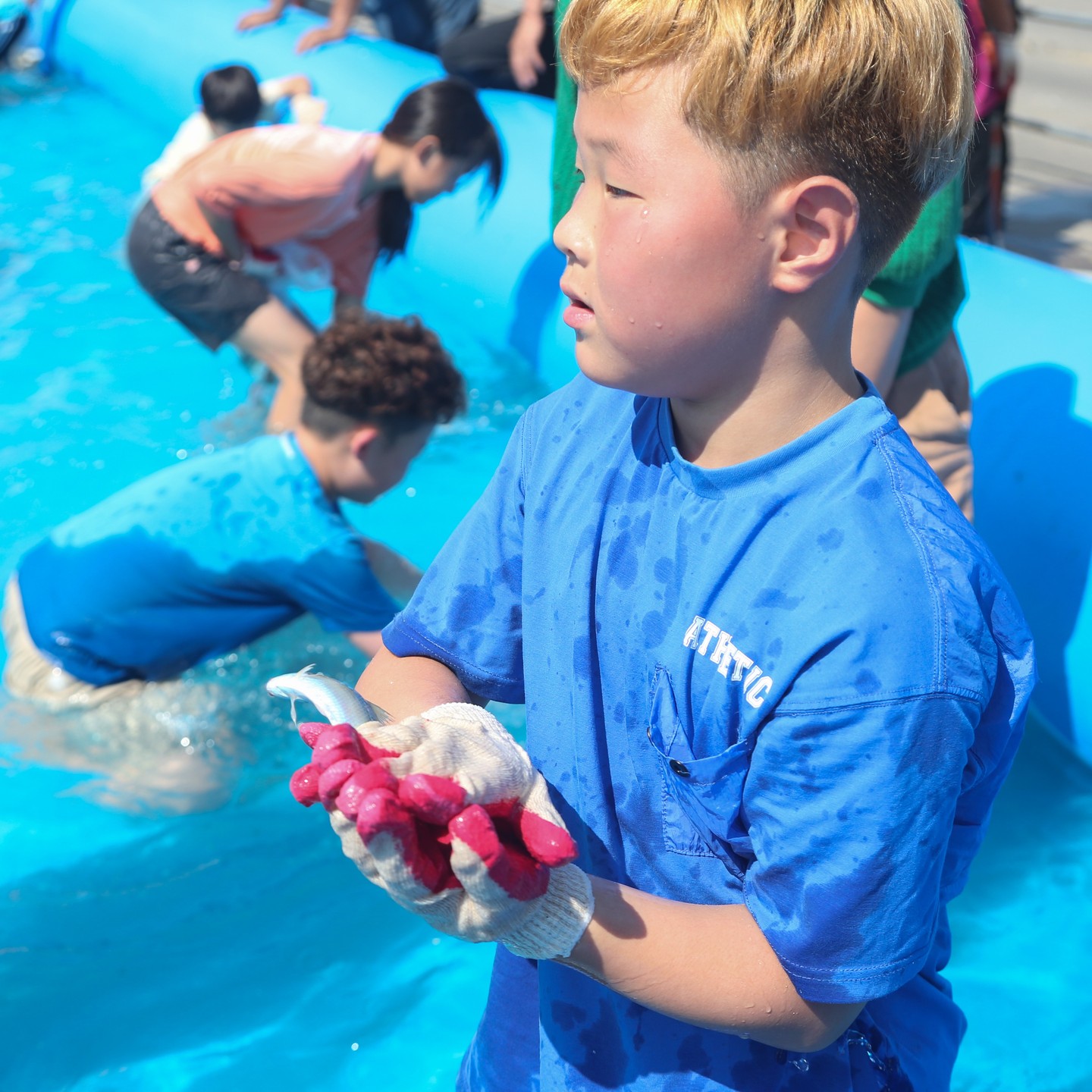 서천 홍원항 전어 꽃게 축제
