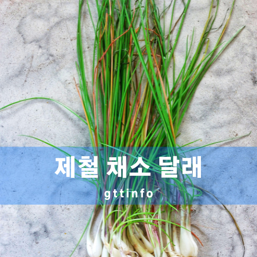 달래의 효능