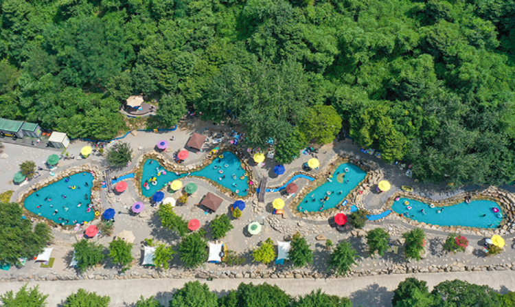 동해 무릉건강숲