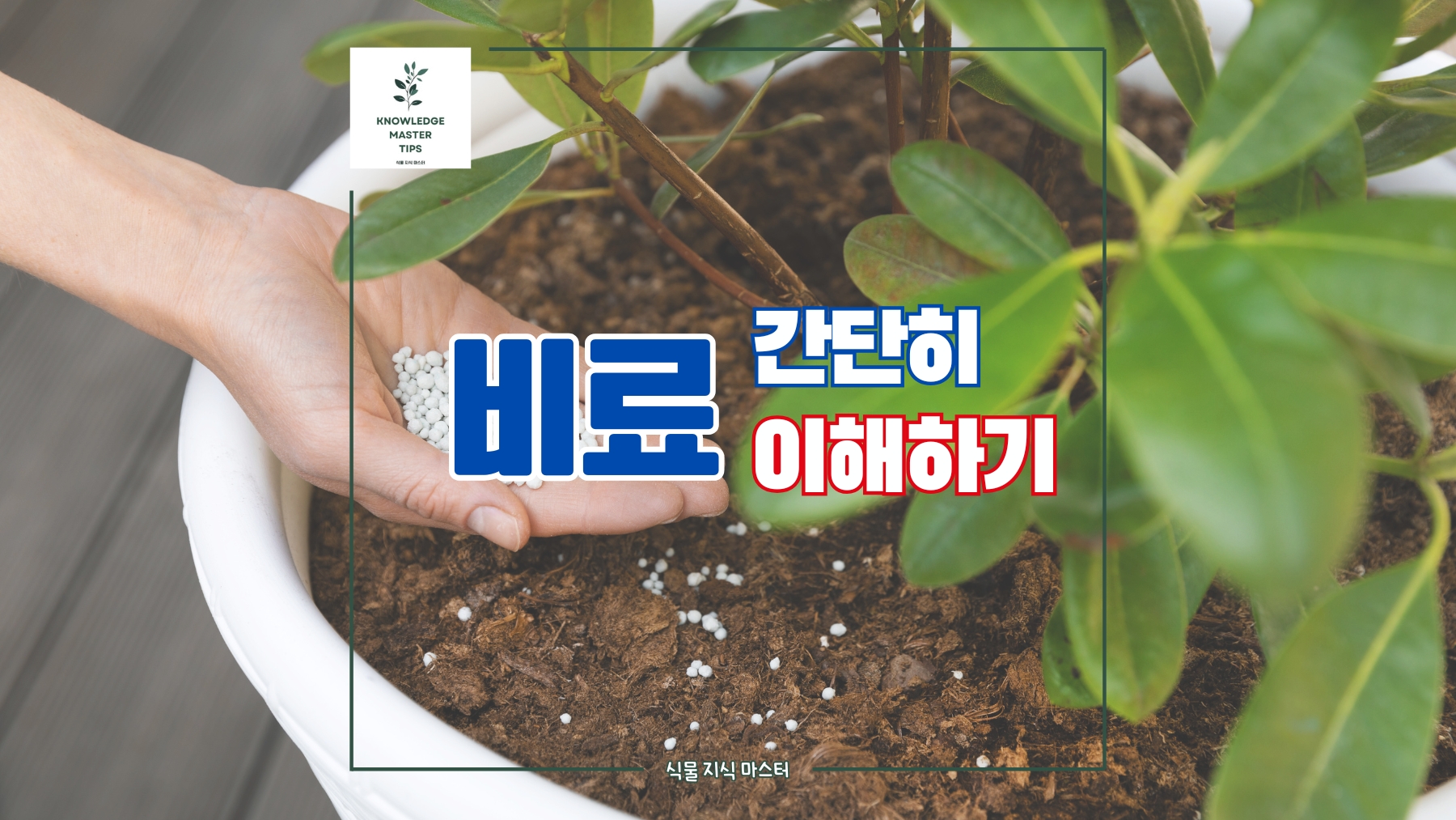 식물 비료, 나의 반려식물에게 딱 맞는 영양제 고르기