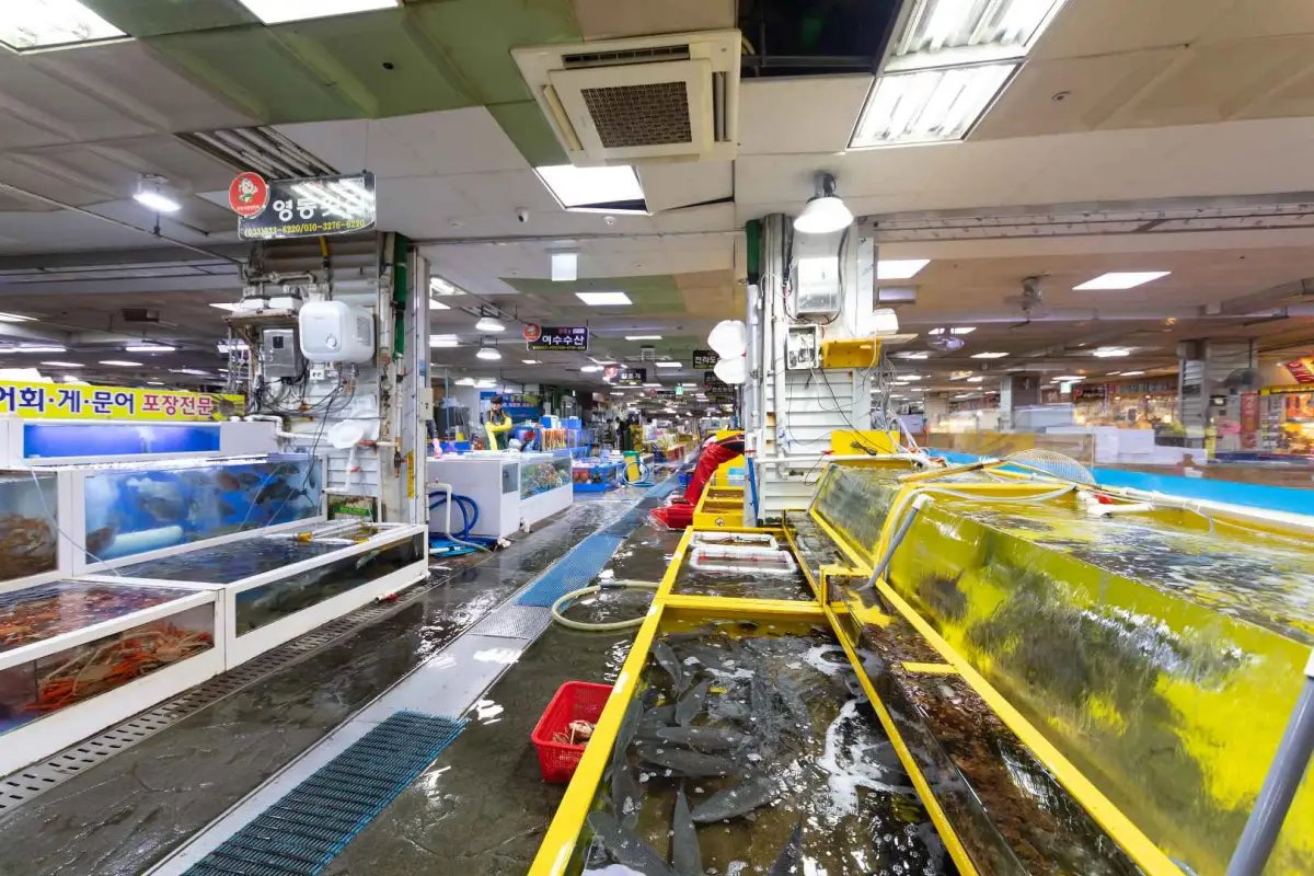 속초관광수산시장