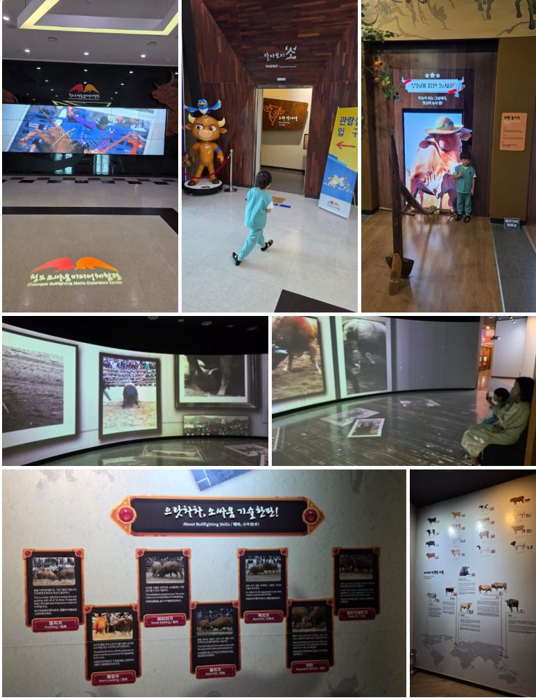 청도소싸움미디어체험관
