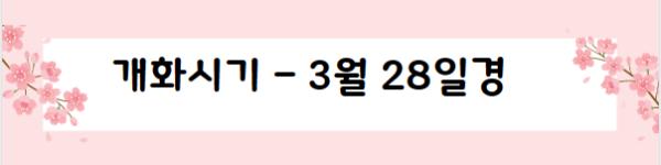 봄꽃 여행지