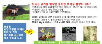 토양 개량 방법 유기물 석회 훈탄 염류집적 해결_10