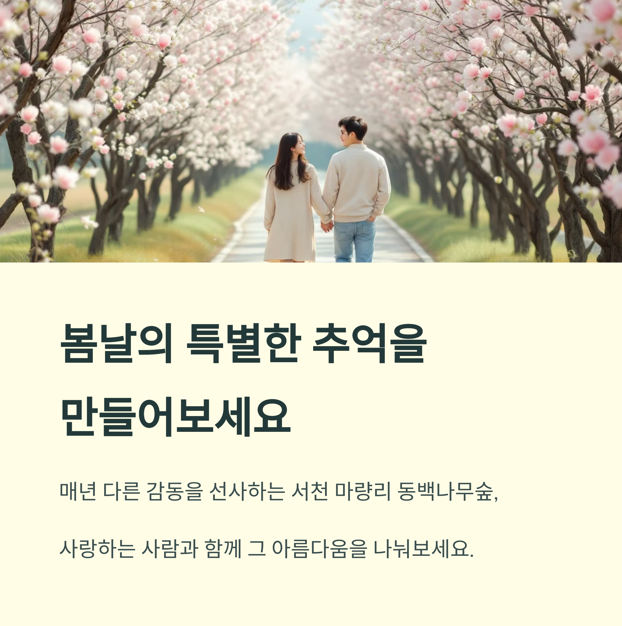 서천 마량리 동백나무숲