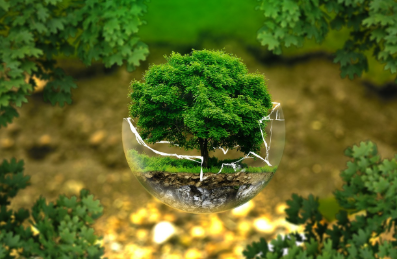 지구를 위한 목소리: 환경 보호 캠페인 참여 후기