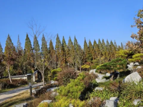 단풍명소-경주여행