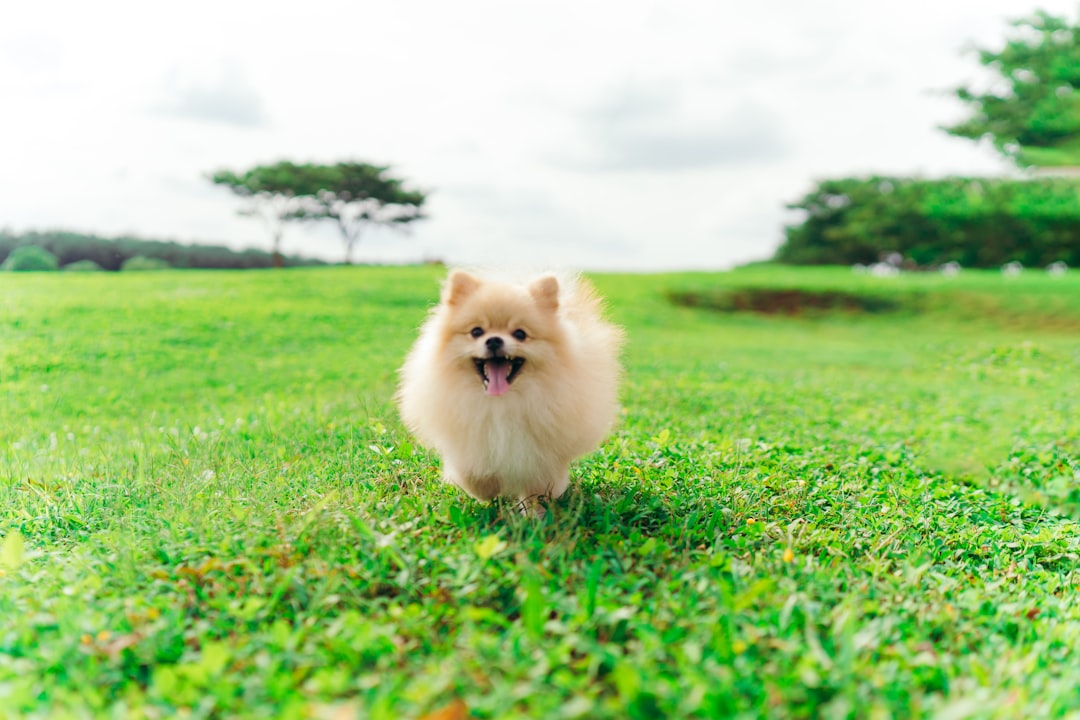 Wiggle.