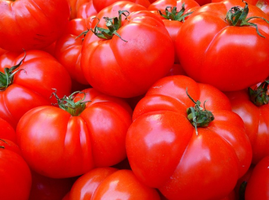 토마토 항암 효과