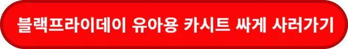 블랙프라이데이-유아용-카시트-싸게-사러가기