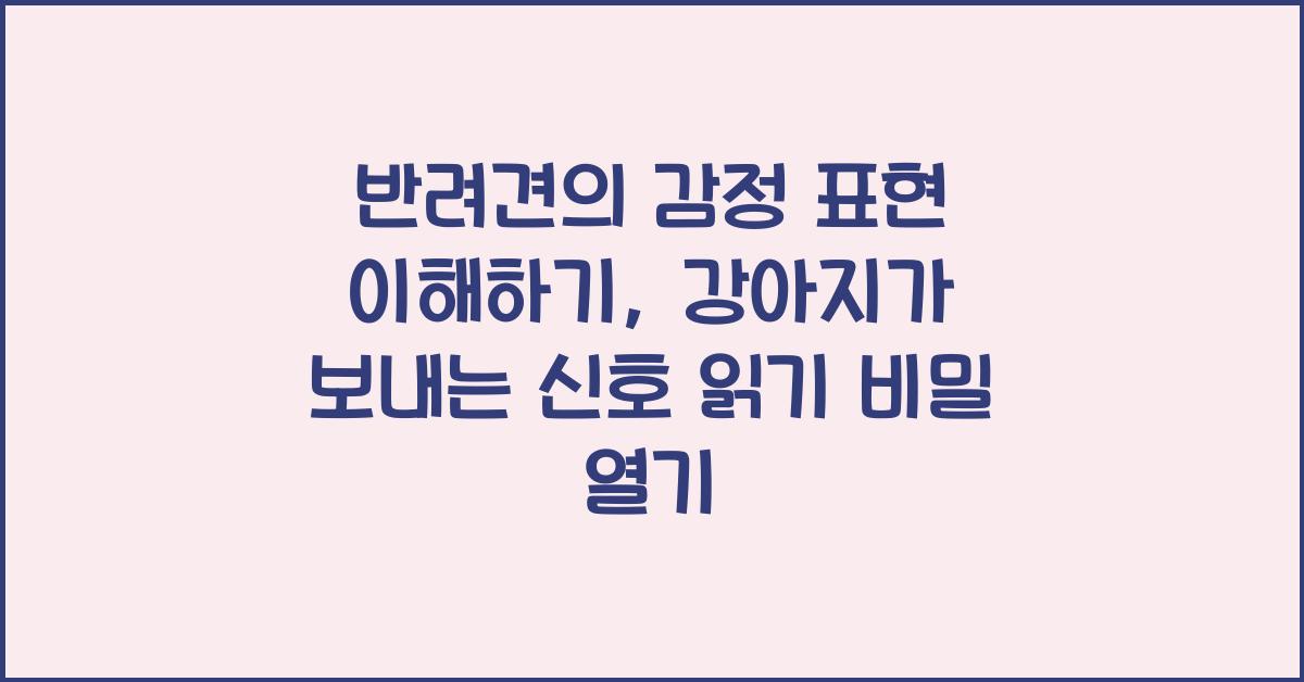 반려견의 감정 표현 이해하기: 강아지가 보내는 신호 읽기