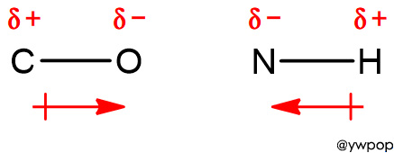 결합 쌍극자, bond dipole