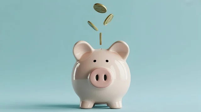 직장인 사회초년생 돈 모으는 방법, 짠테크로 시드머니(종잣돈) 모으기 현실적인 방법 5가지