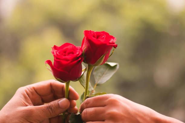 로즈데이란? 사랑을 장미에