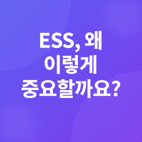 에너지 저장 시스템_1