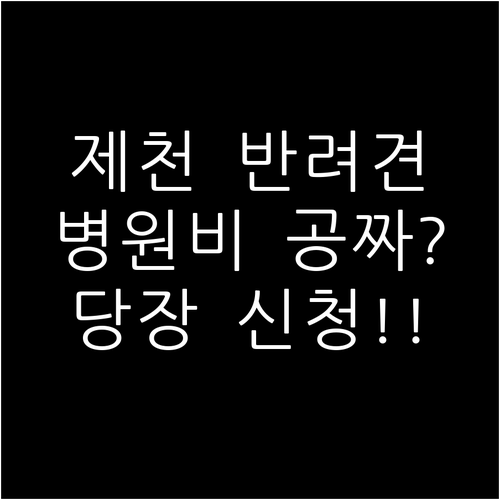 제천시 취약계층 반려동물 병원비 지원..