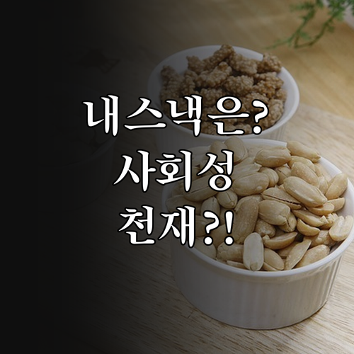 SBTI 스낵 성격 테스트 사회적 상..
