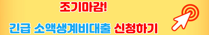 긴급 소액생계비대출 신청하기